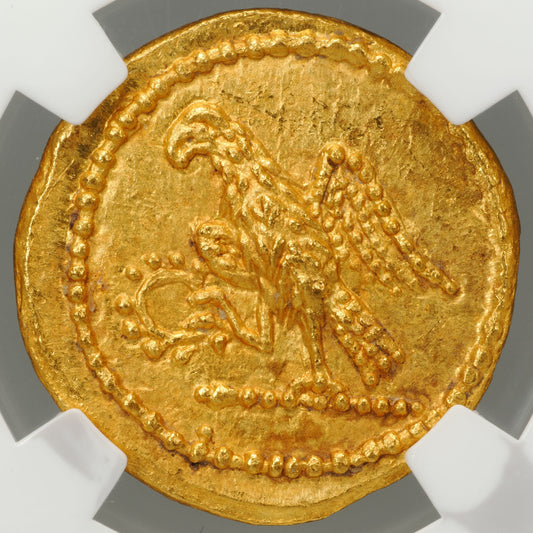 スキタイ・トラキア コソン 紀元前54年以降 1スターテル金貨 ChMS★ 5/5 5/5 ダブルファイブ NGC 裏