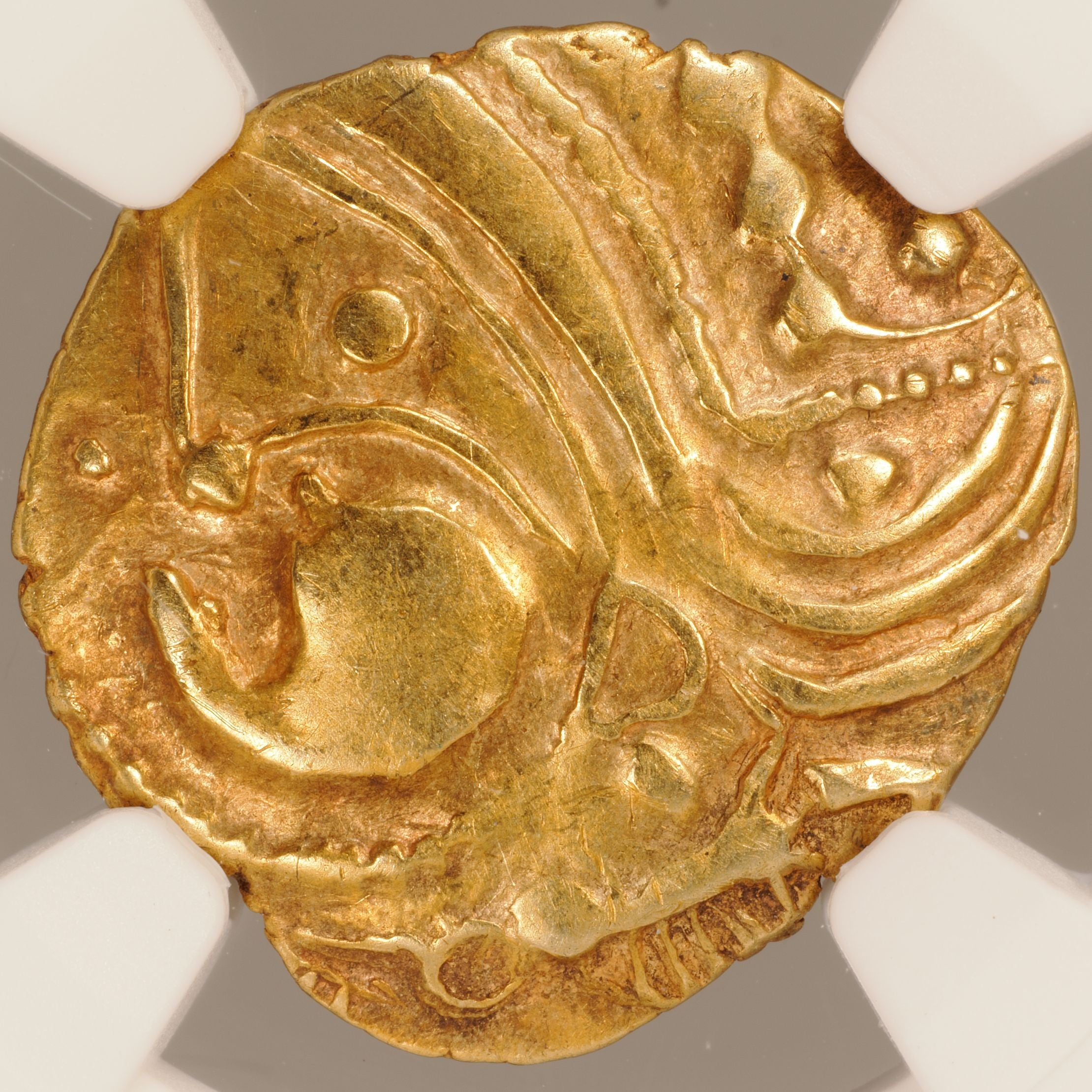 注目のコイン – PRIME MINT